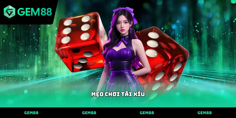 Ứng dụng mẹo chơi tài xỉu để dự đoán kết quả xúc xắc